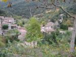 Beget